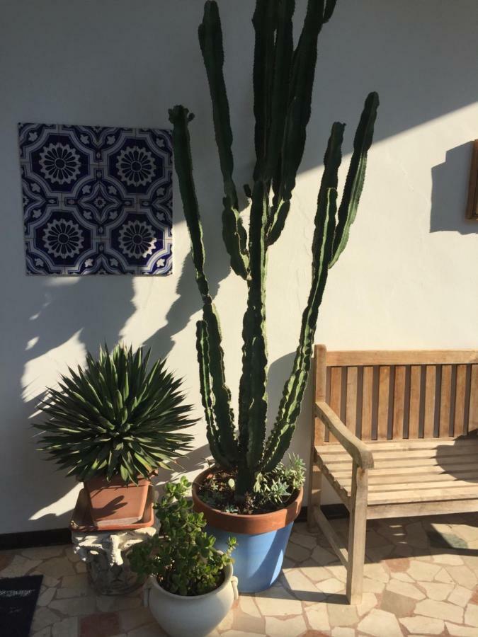 B&B La Villa Mediterranea Passirano Kültér fotó